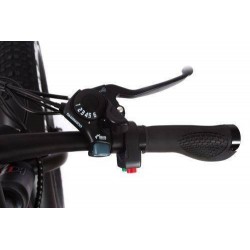 Vélo assistance électrique Ion Fat 26' 250 W Noir Vélo assistance électrique Ion Fat 26' 250 W Noir