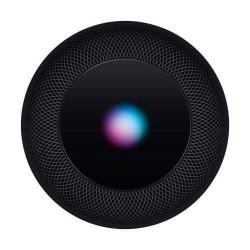HomePod Apple Gris Sidéral Puissant HomePod Apple Gris Sidéral Puissant